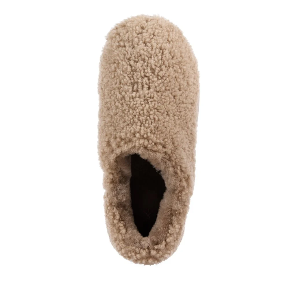 Aston Donna mushroom - Image 3